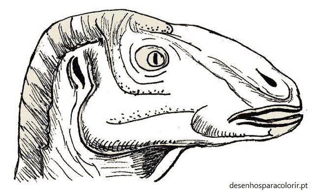 Desenhos de dinossauros para pintar e imprimir 08